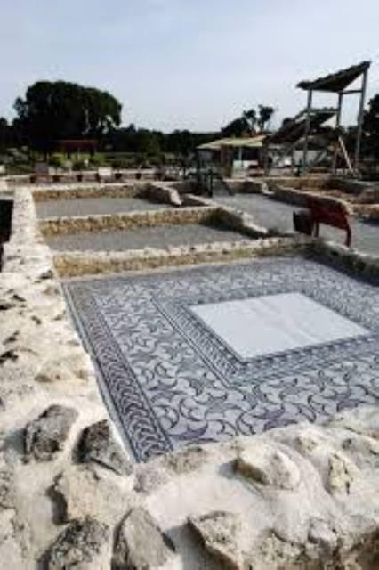 Vienna: Carnuntum Roman city tour with guide - The Sum Up