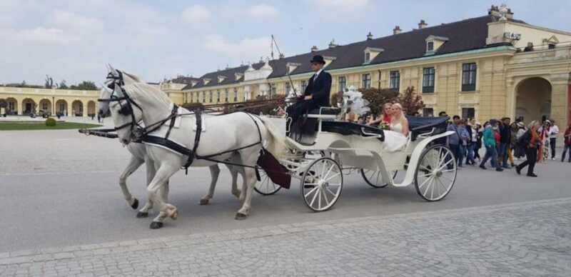 Vienna: Carriage Ride Through Schönbrunn Palace Gardens - A Closer Look at the Experience