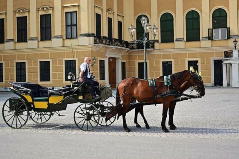 Vienna: Carriage Ride Through Schönbrunn Palace Gardens - What Past Travelers Say