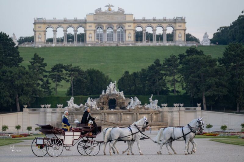 Vienna: Carriage Ride Through Schönbrunn Palace Gardens - Who Will Love This Tour?
