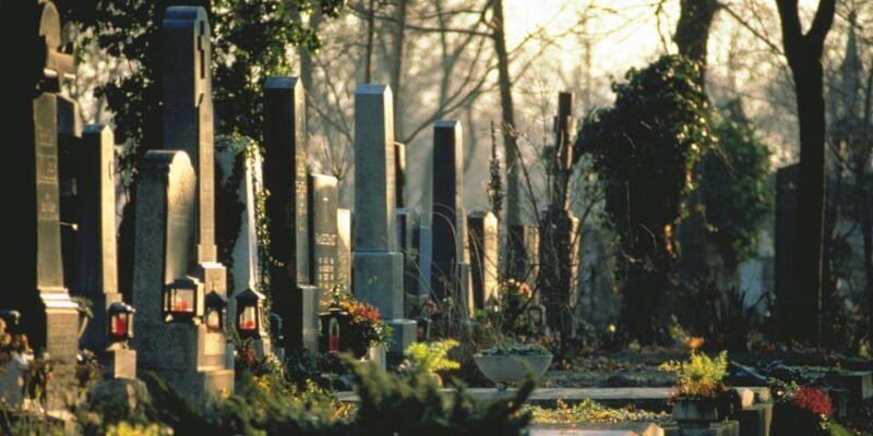 Vienna: Central Cemetery, guided walking tour with fascinating secrets - The Sum Up: Who should consider this experience?