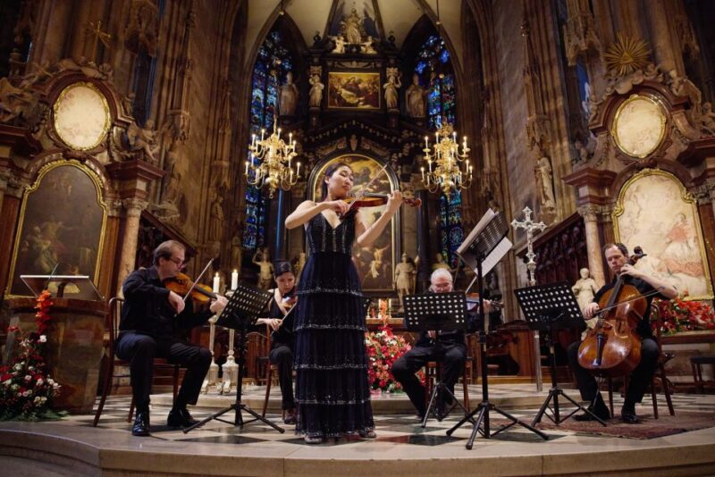 Vienna: Classical Concert at St. Stephens Cathedral - Venue Highlights