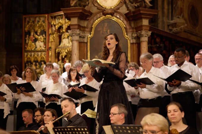 Vienna: Classical Concert at St. Stephens Cathedral - Accessibility Features