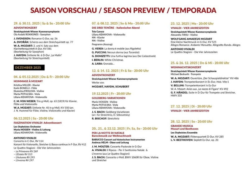 Vienna: Classical Concerts in the Minorite Church Ticket - Who Should Consider This Experience?