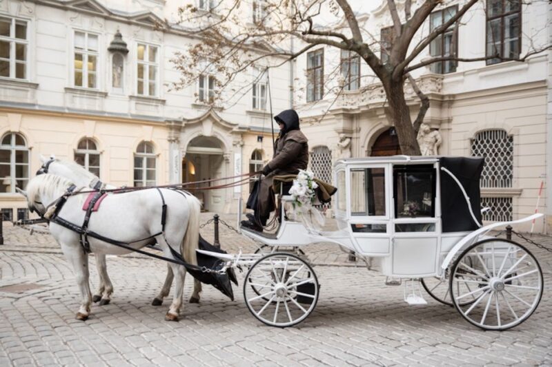 Vienna: Culinary Horse-Drawn Carriage Experience - Final Thoughts