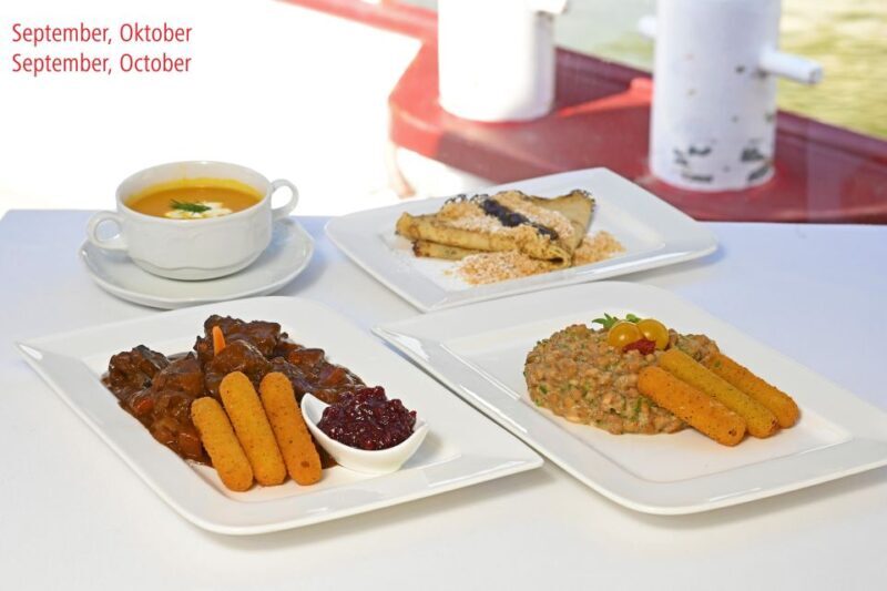 Vienna: Danube River Cruise w/ optional Viennese Specialties - A Detailed Look at the Experience