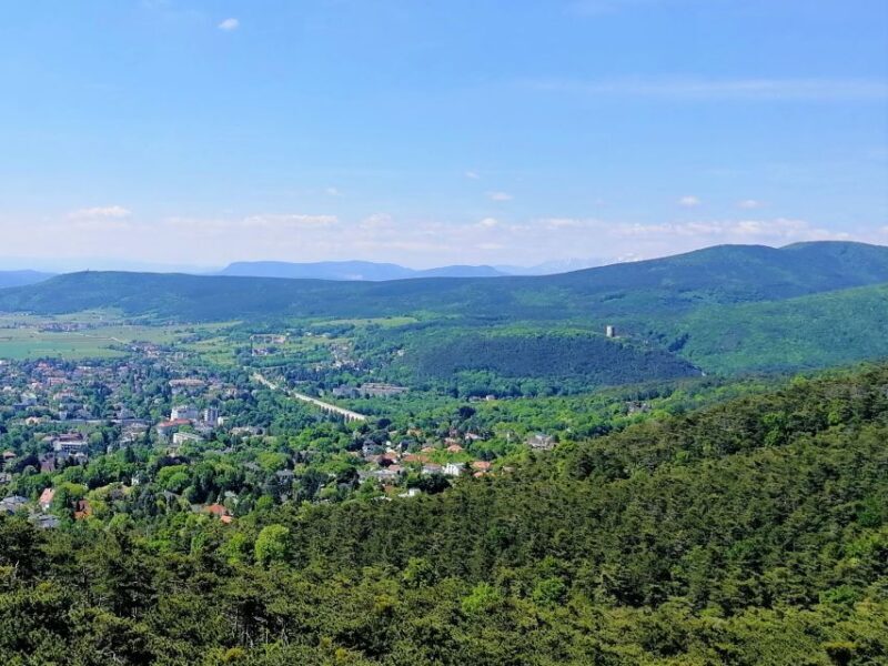 Vienna: Full-Day Vienna Woods Wine Tasting Tour - Final Thoughts