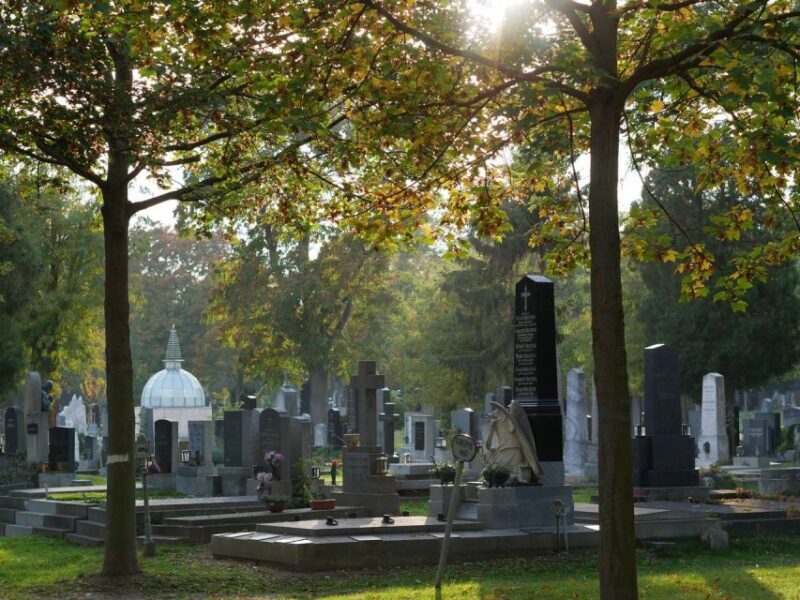 Vienna: Guided Walking Tour of the Central Cemetery - Who Should Consider This Tour?