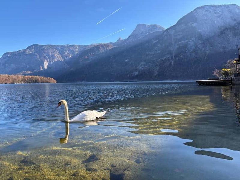 Vienna: Hallstat, Salzburg, Melk Abbey, & Dürnstein Day Trip - Summary