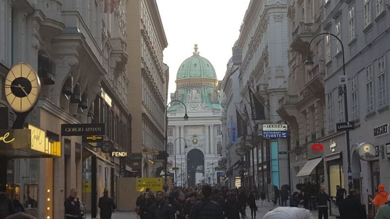 Vienna Historical Highlight City Tour + Hofburg - City’s Shopping Streets: Kohlmarkt and Graben