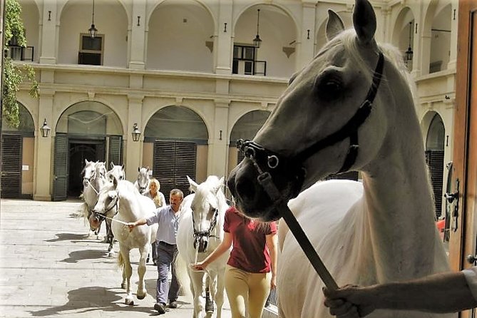 Vienna Inner City Highlights Private Walking Tour - Transportation Details