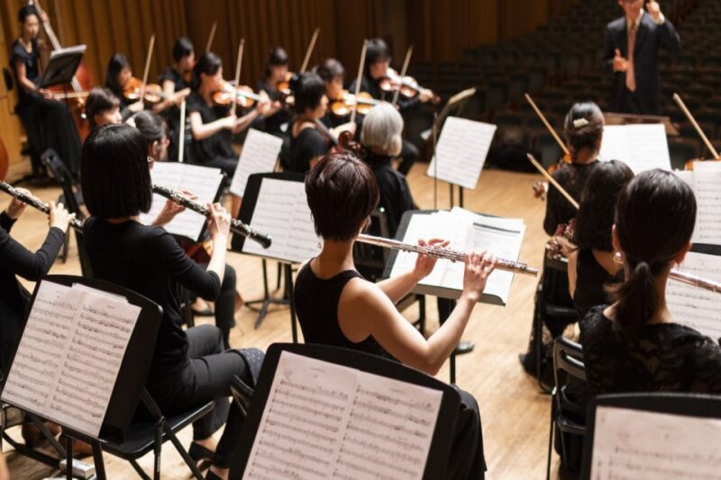 Vienna: Meet Strauss Private Guided Walking Tour - Key Points