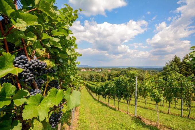Vienna: Melk, Wachau Wine, Lower Austria Day Trip by Car - Transportation Details
