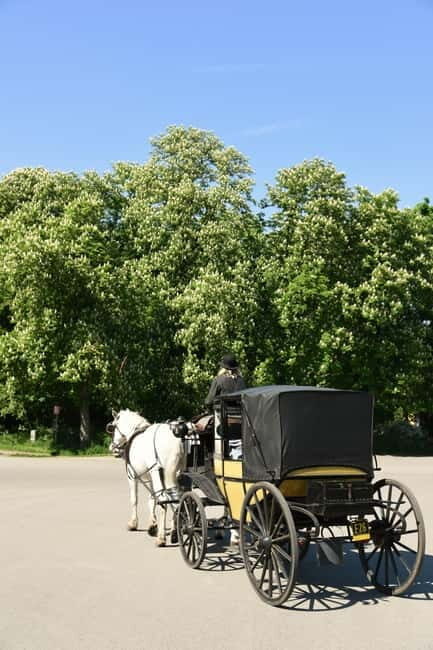 Vienna Porcelain Carriage - A discreet Prater carriage ride for adults - The Route and Its Significance