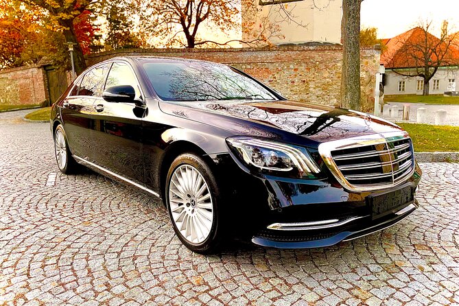 Vienna Private Airport Transfer - Accessibility and Participation