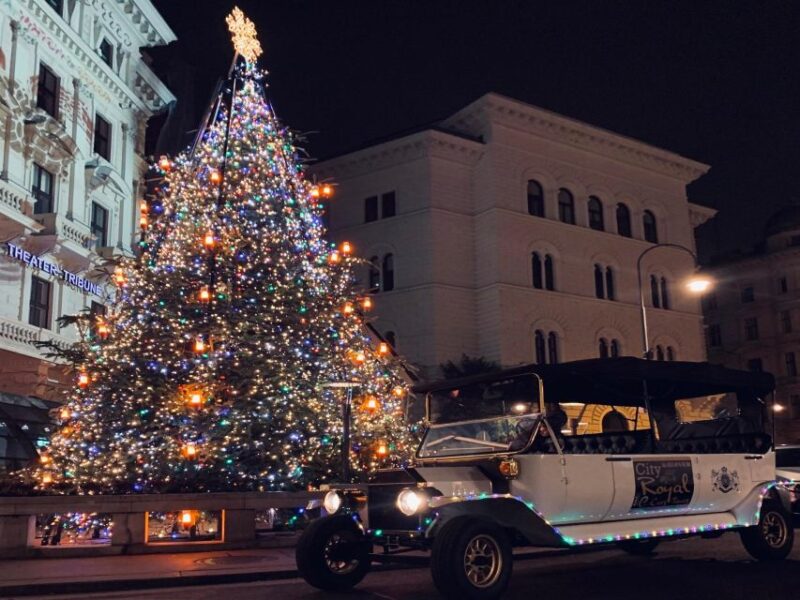 Vienna: Private Electric-Oldtimer Sightseeing Tour - Inclusions and Amenities