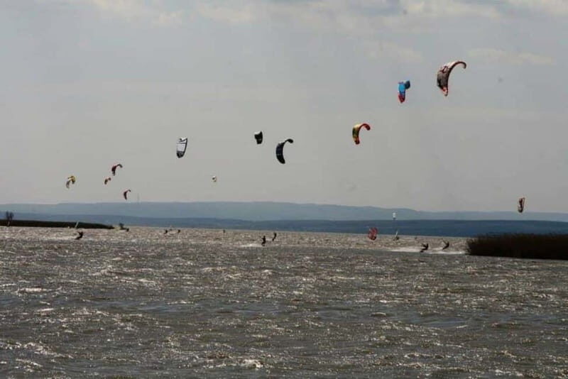 Vienna: Private tour Lake Neusiedl, Rust (wine tasting) Purbach - A Deep Dive into the Experience