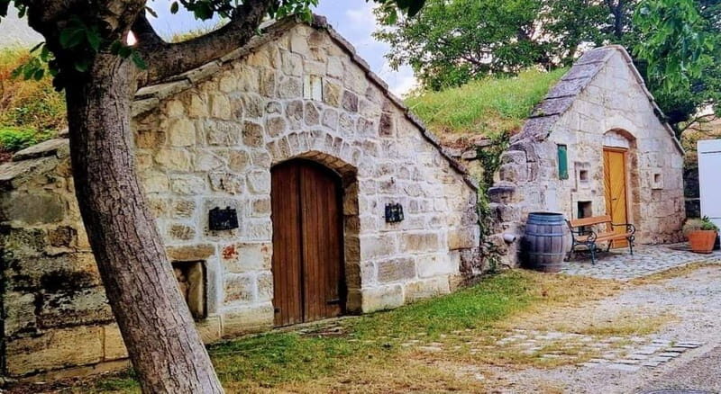 Vienna: Private tour Lake Neusiedl, Rust (wine tasting) Purbach - Final Words