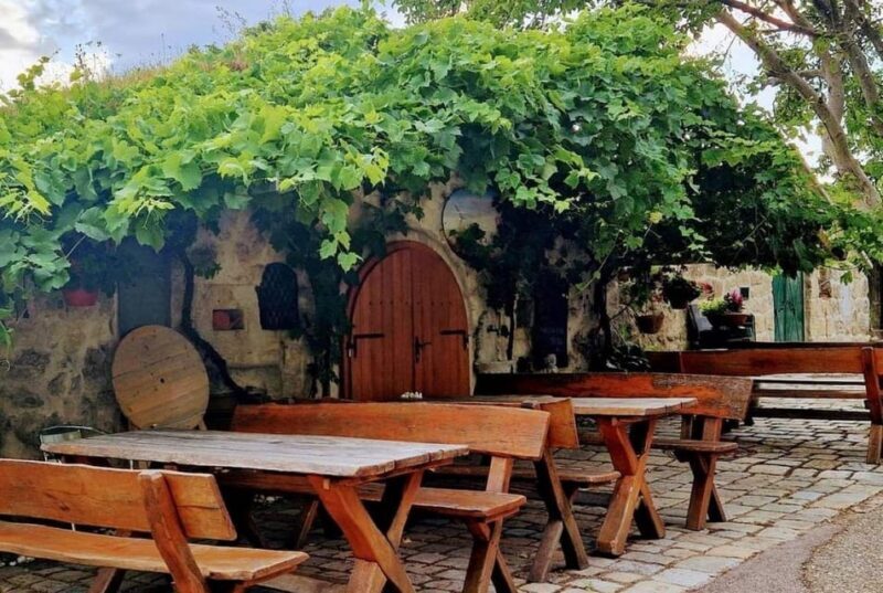 Vienna: Private tour Lake Neusiedl, Rust (wine tasting) Purbach - FAQs