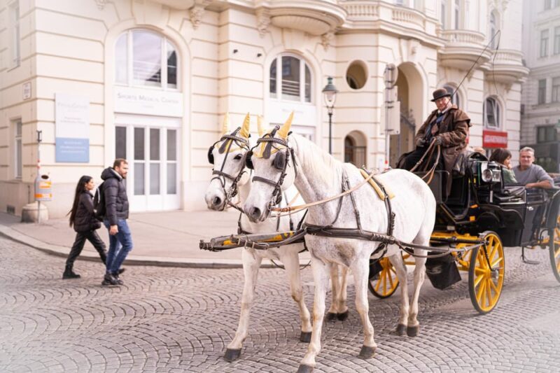 Vienna: Romanian Heritage and Christmas Markets Guided Tour - The Sum Up