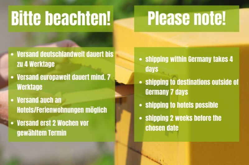 Vienna: Scavenger Hunt Self-Guided Tour - Key Points
