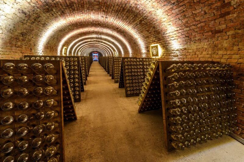 Vienna: Schlumberger Wine Cellar Guided or Self-Guided Tour - Who Should Consider This Tour?