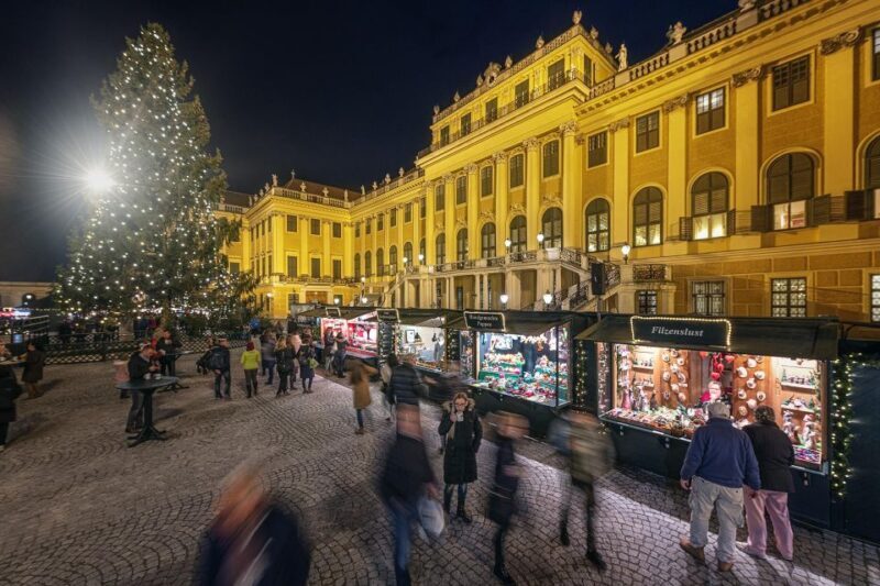 Vienna: Schönbrunn Palace & Christmas Market Walking Tour - Exploring the Schönbrunn Palace & Christmas Market Tour