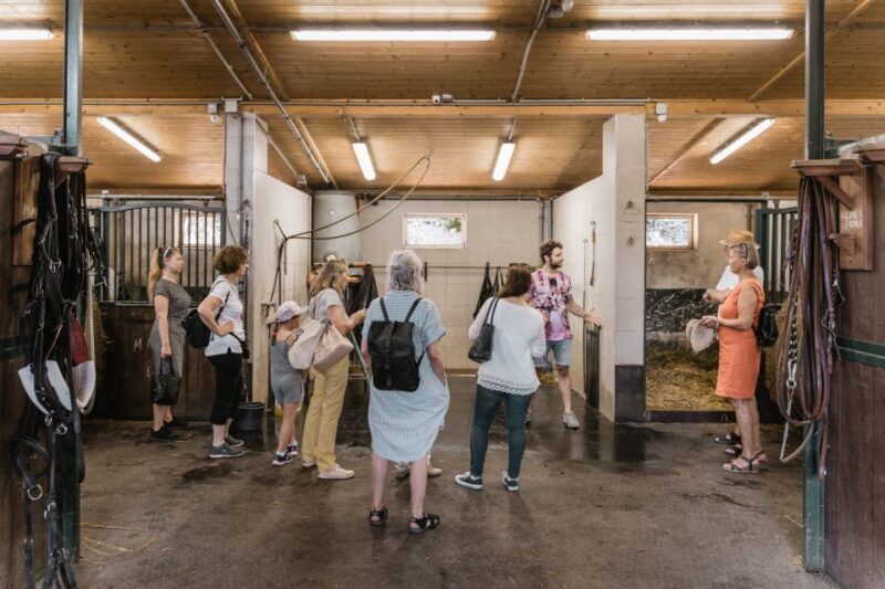 Vienna: Secrets of the Fiaker & Horse-Drawn Carriage Ride - Key Points