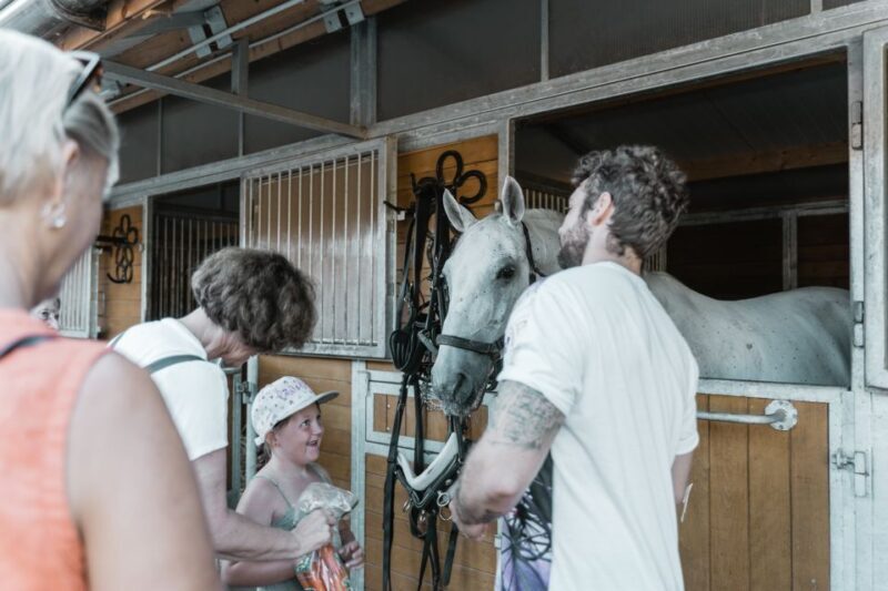 Vienna: Secrets of the Fiaker & Horse-Drawn Carriage Ride - The Sum Up