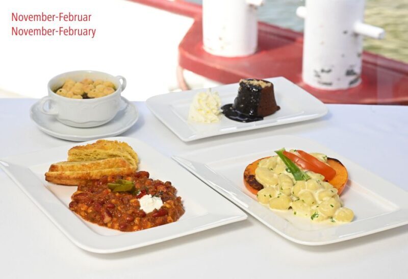 Vienna: Sightseeing Boat Tour with Lunch - Who Should Consider This Tour?