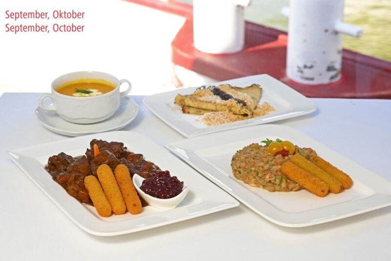 Vienna: Sightseeing Boat Tour With Lunch - Participant Guidelines