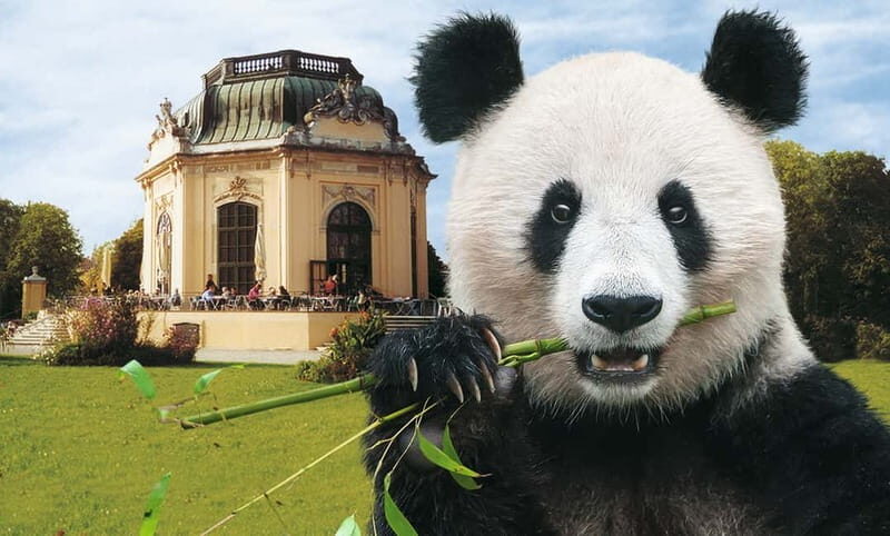 Vienna: Skip-the-line Tickets for Schönbrunn Zoo - Key Points
