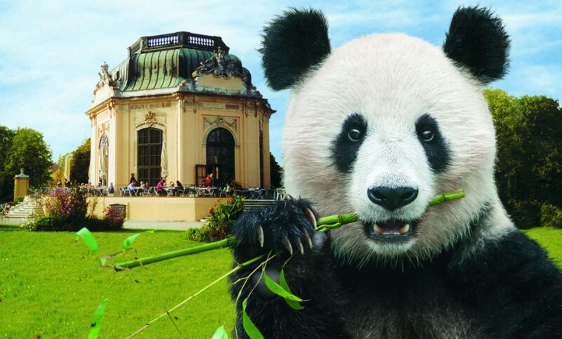 Vienna: Skip-the-line Tickets for Schönbrunn Zoo - Unique Animal Attractions