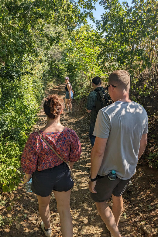 Vienna: Small-Group Wine Tasting Tour - A Closer Look at the Itinerary and Experience