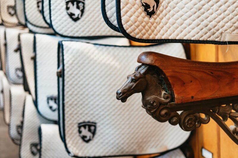 Vienna: Spanish Riding School Guided Architectural Tour - Final Thoughts: Who Will Love This Tour?  
