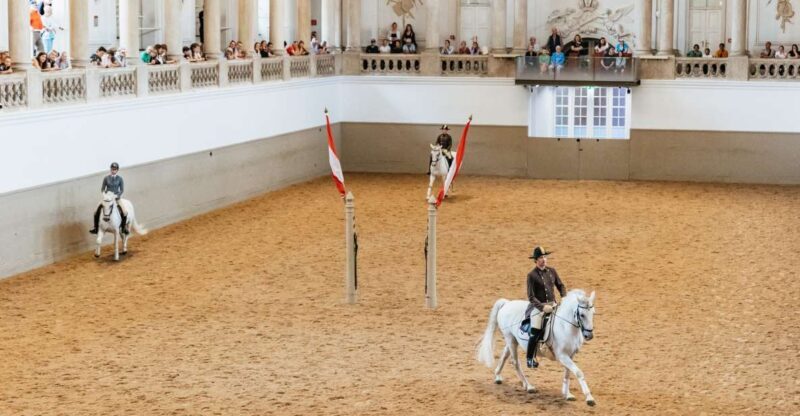 Vienna: Spanish Riding School Training - What to Expect from the Spanish Riding School Training