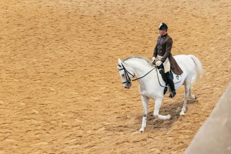 Vienna: Spanish Riding School Training - Who Will Love This Experience?