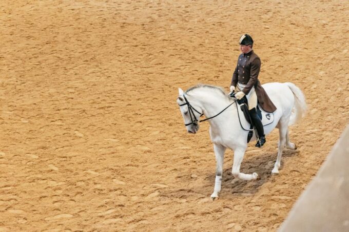 Vienna: Spanish Riding School Training - Historical Significance