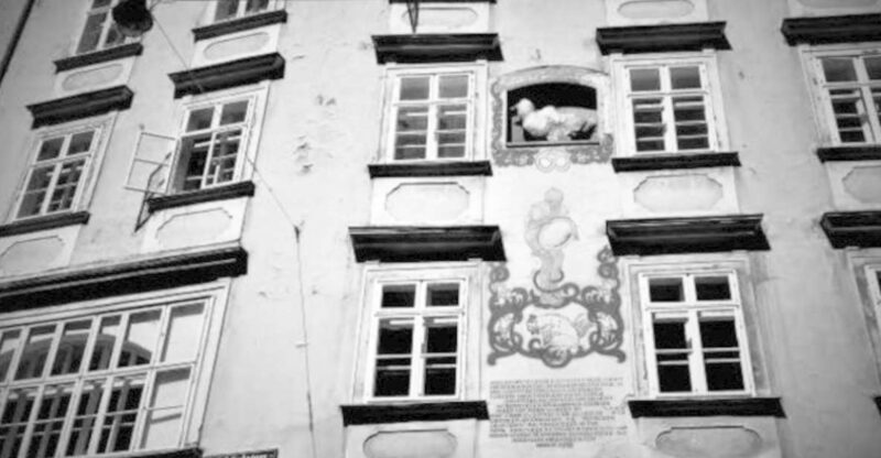 Vienna: Spooky Ghost Tour in English - The Value of the Experience