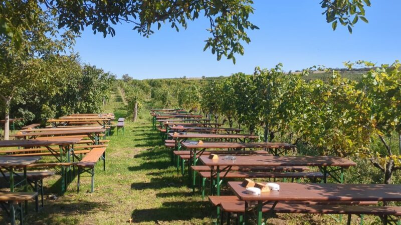 Vienna: Surroundings Sip & Savor Tour - Who Will Love This Tour