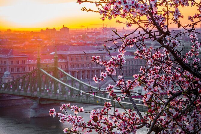 Vienna to Budapest - Private transfer with 2h of Sightseeing - The Sum Up