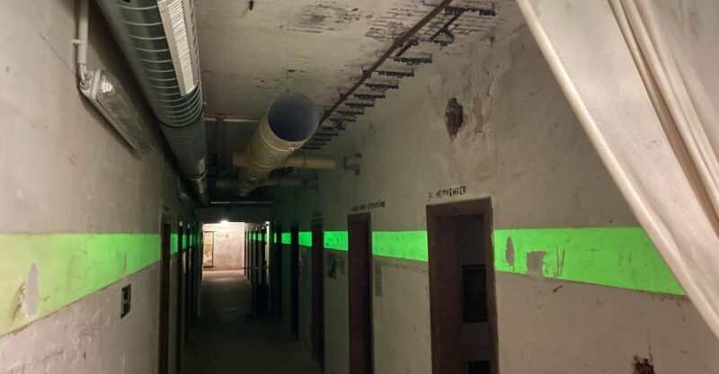 Vienna: Underground WWII Bunker Ticket and Guided Tour - Practical Details and Value