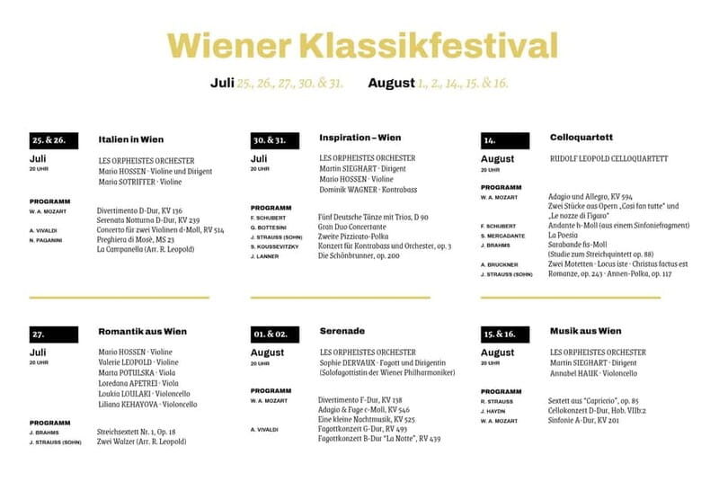 Vienna: Vienna Classic Festival Ticket - Who Should Consider This Concert?