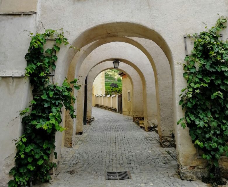 Vienna: Wachau Valley Private Kayak and Wine Tour - Frequently Asked Questions