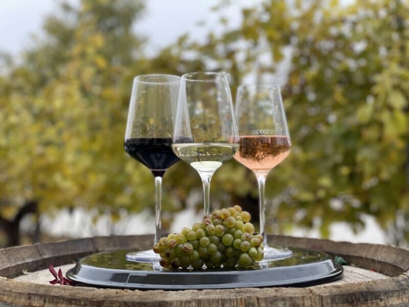 Vienna: Wine Tasting at Schönbrunn Palace - What to Expect During the Tour