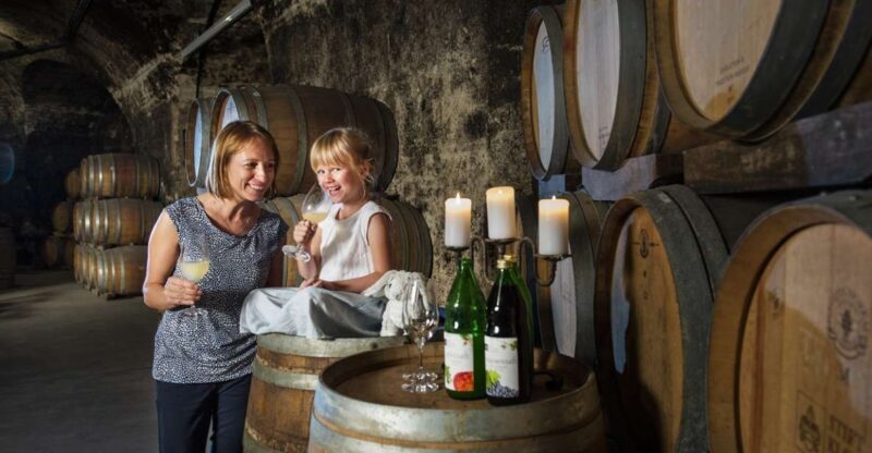 Vienna: Wine Tasting E-Bike Tour - What’s Included and What’s Not