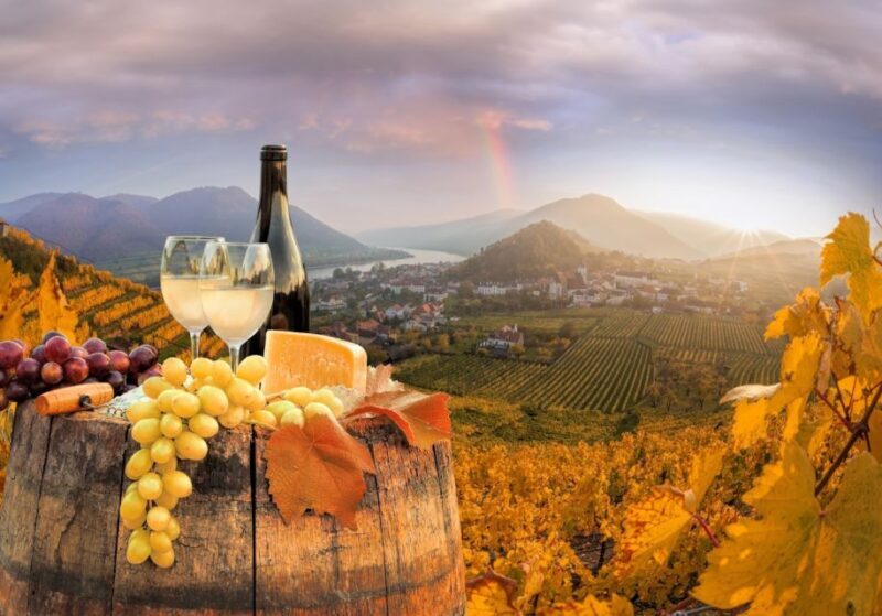 Vienna: Winery and Wine Tasting Tour with a Wine Expert - What You Will Learn