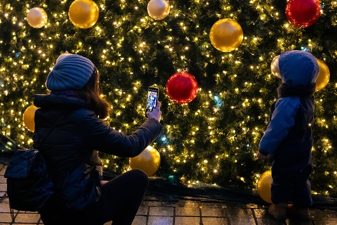 Viennas Christmas Market Magic Tour - Accessibility Considerations