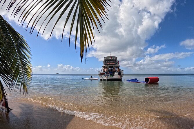 Vieques All-Inclusive: Swim with Turtles & Enjoy Pristine Beaches - Key Points