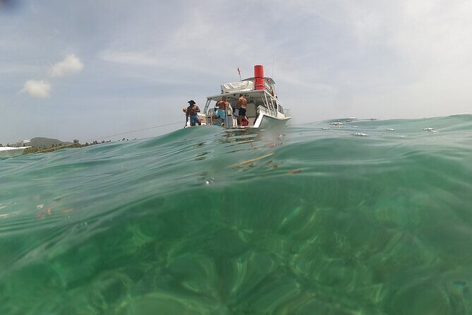 Vieques All-Inclusive: Swim with Turtles & Enjoy Pristine Beaches - FAQ